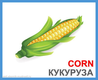 кукуруза - овощи на английском языке