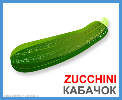 кабачок - овощи на английском языке